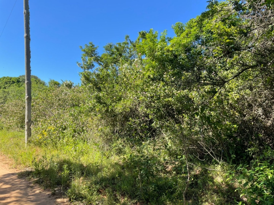 0 Bedroom Property for Sale in Bathurst Eastern Cape